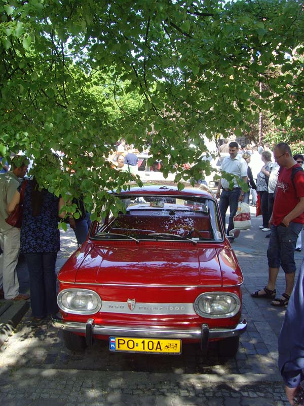 Dni Ziemi Wolsztynskiej 02 05 2009 (30)